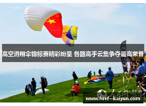 高空滑翔伞锦标赛精彩纷呈 各路高手云集争夺最高荣誉